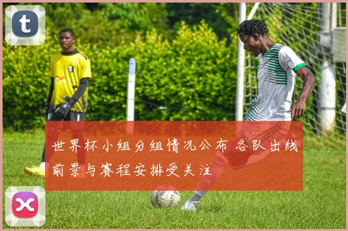 世界杯小组分组情况公布 各队出线前景与赛程安排受关注