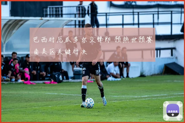 巴西对厄瓜多尔交锋即 预热世预赛南美区关键对决