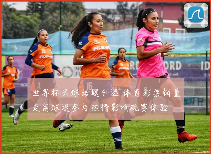 世界杯买球话题升温 体育彩票销量走高球迷参与热情影响观赛体验